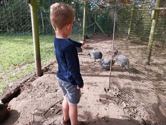 Børn der laver sjove aktiviteter i Jylland