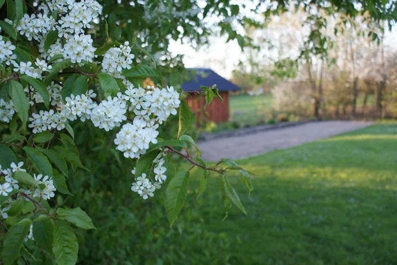 Aktiviteter i naturen for børn og voksne i Jylland