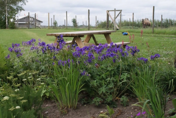 Natur oplevelser i Jylland for både børn og voksne
