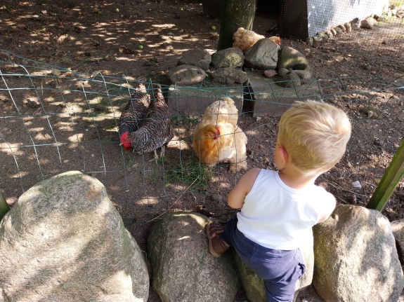 Familiebesøg i Enghave Naturpark med oplevelser for børn i Jylland