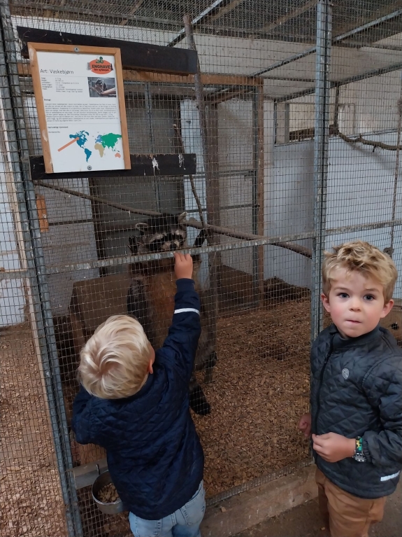 Fantastiske oplevelser for børn i Jylland med dyr