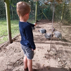 Børn der laver sjove aktiviteter i Jylland