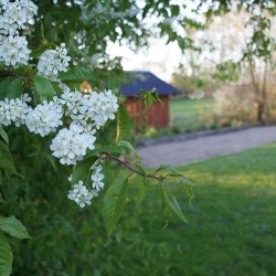Aktiviteter i naturen for børn og voksne i Jylland