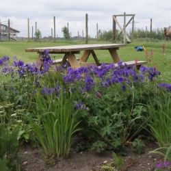 Natur oplevelser i Jylland for både børn og voksne