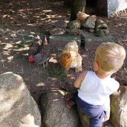 Familiebesøg i Enghave Naturpark med oplevelser for børn i Jylland