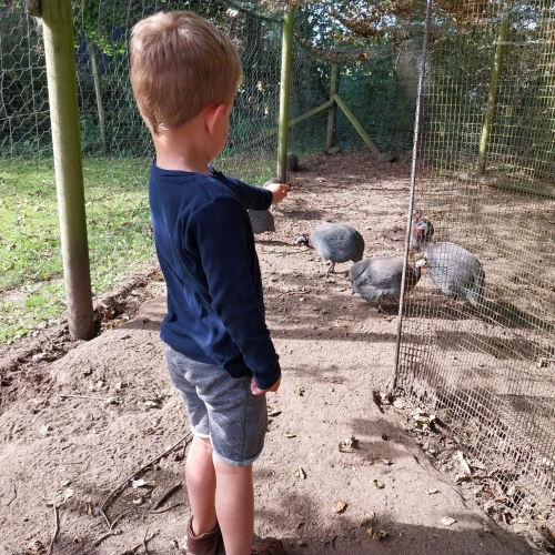 Børn der laver sjove aktiviteter i Jylland