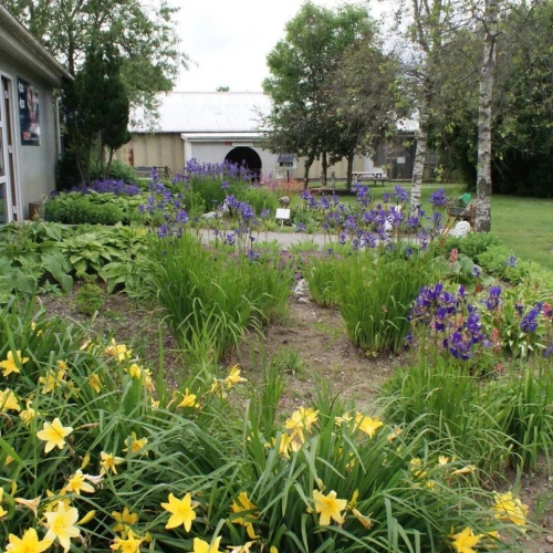 Familieudflugt i naturparken i Jylland