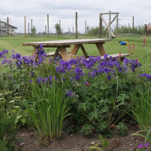 Natur oplevelser i Jylland for både børn og voksne