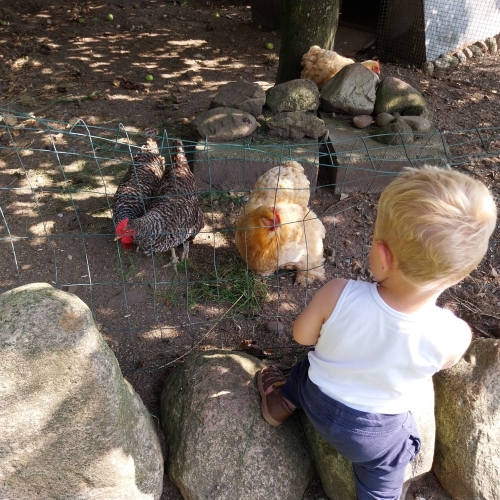 Familiebesøg i Enghave Naturpark med oplevelser for børn i Jylland