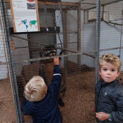 Fantastiske oplevelser for børn i Jylland med dyr