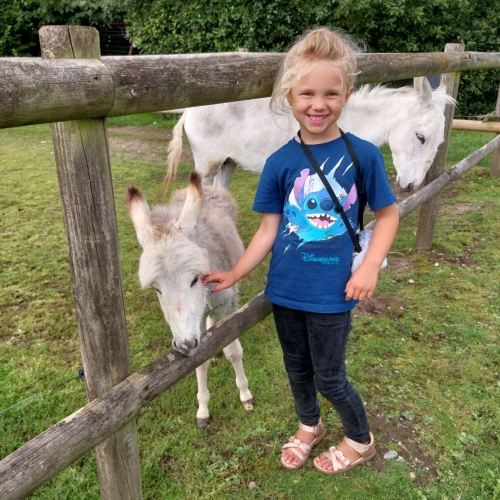 Udendørs aktiviteter for børn i Jylland i de grønne omgivelser hos Enghave Naturpark