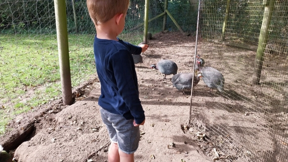 Børn der laver sjove aktiviteter i Jylland