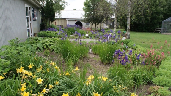 Familieudflugt i naturparken i Jylland