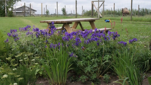 Natur oplevelser i Jylland for både børn og voksne