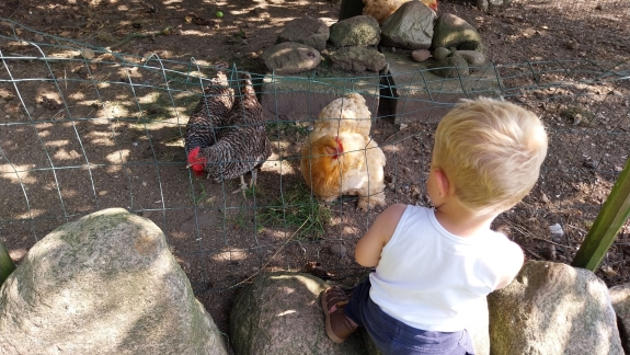 Familiebesøg i Enghave Naturpark med oplevelser for børn i Jylland